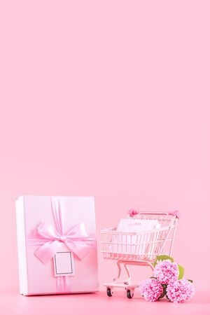 Mother's Day holiday gift design concept, pink carnation flower bouquet with wrapped box, shopping cart, bag, isolated on light pink background, copy space.の写真素材