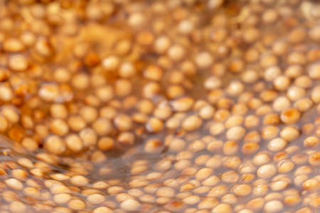 Cooking, boiling brown sugar flavor tapioca pearl balls, ingredient of bubble tea, preparing food...