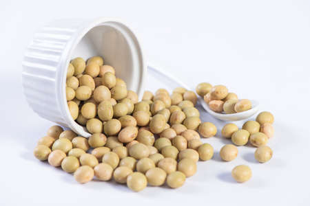 Yellow-green Taiwanese organic non-GMO soybeans, soy beans in a container isolated on white backgorund, close upの写真素材