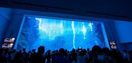 Taoyuan, Taiwan-Sep. 02, 2020: New-opened aquarium-Xpark building, popular landmark of Taoyuan Qingpu.のeditorial素材