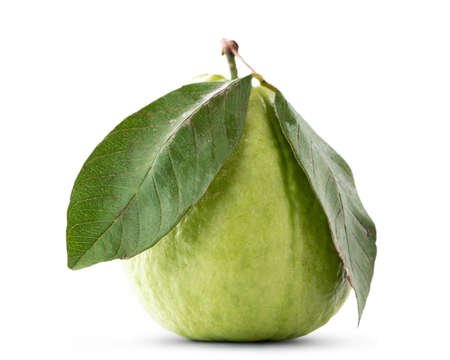Beautiful delicious guava fruit with fresh green leaves isolated on white backgroundの写真素材