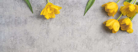 Concept of Mother's day holiday greeting design with yellow tulip flower bouquet on gray backgroundの写真素材