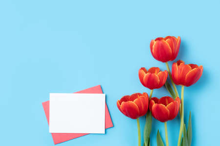 Design concept of holiday greeting gift design with red tulip bouquet and card on bright blue table...