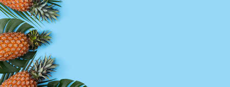 Top view of fresh pineapple with tropical palm and monstera leaves on blue table background.の写真素材