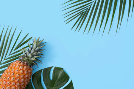 Top view of fresh pineapple with tropical palm and monstera leaves on blue table background.の写真素材