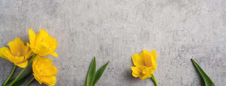 Concept of Mother's day holiday greeting design with yellow tulip flower bouquet on gray backgroundの写真素材