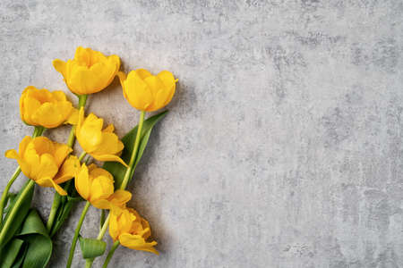 Concept of Mother's day holiday greeting design with yellow tulip flower bouquet on gray backgroundの写真素材