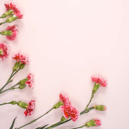 Design concept of Mother's day holiday greeting design with carnation bouquet on pastel pink table...