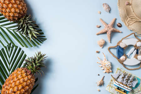 Summer fruit background design concept. Top view of holiday travel beach with shells, hat, pineapple and palm leaves on blue background.の写真素材