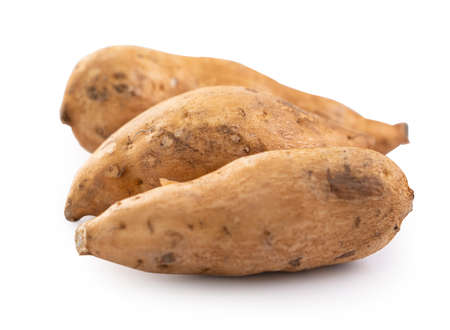 Raw sweet potato yam isolated on white table background.の写真素材