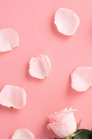 Mother's Day design concept background with pink rose flower on pink table background backgroundの写真素材
