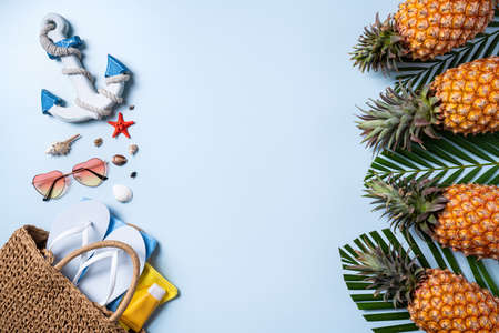 Summer fruit background design concept. Top view of holiday travel beach with shells, hat, pineapple and palm leaves on blue background.の写真素材