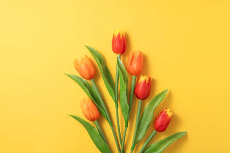 Mother's day background concept. Top view design of holiday greeting tulip flower bouquet on bright...