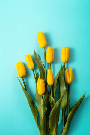 Mother's day background concept. Top view design of holiday greeting tulip flower bouquet on bright blue table background with copy space.の写真素材