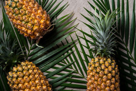 Top view of fresh pineapple with tropical monstera leaves on gray background.