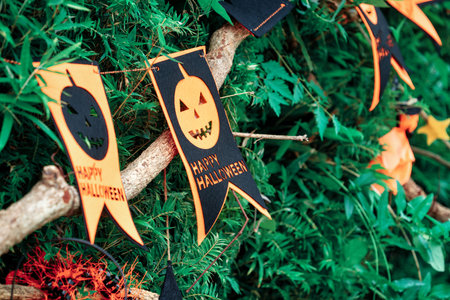 Cute Halloween decorations hanging on a tree in the forest to celebrate Halloween, festive holiday design concept.の写真素材