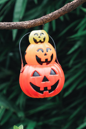 Cute Halloween decorations hanging on a tree in the forest to celebrate Halloween, festive holiday design concept.の写真素材