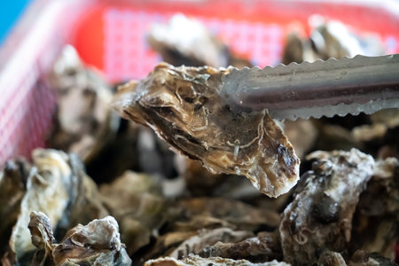 Grilled fresh oyster in Tainan, Taiwan, the famous Taiwanese street food gourmet.の写真素材