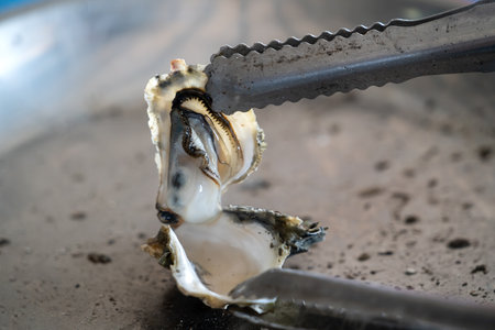 Grilled fresh oyster in Tainan, Taiwan, the famous Taiwanese street food gourmet.の写真素材