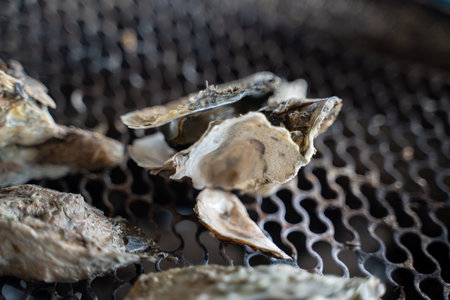 Grilled fresh oyster in Tainan, Taiwan, the famous Taiwanese street food gourmet.