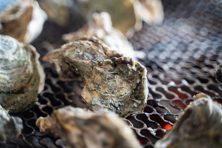 Grilled fresh oyster in Tainan, Taiwan, the famous Taiwanese street food gourmet.の写真素材