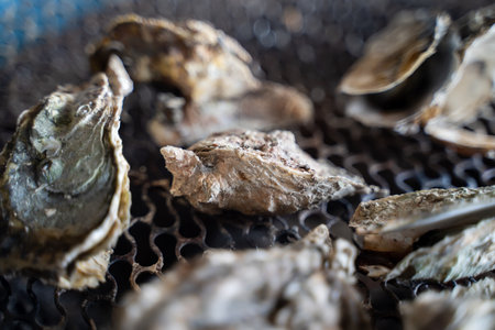 Grilled fresh oyster in Tainan, Taiwan, the famous Taiwanese street food gourmet.の写真素材