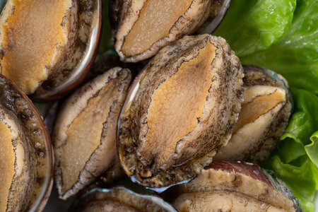 Delicious raw abalone in a plate with lettuce on wooden table background.の写真素材
