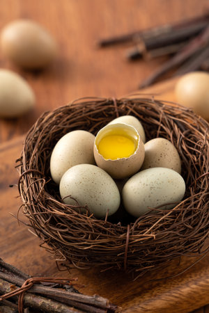Fresh button quail eggs in a nest on wooden table background.の写真素材