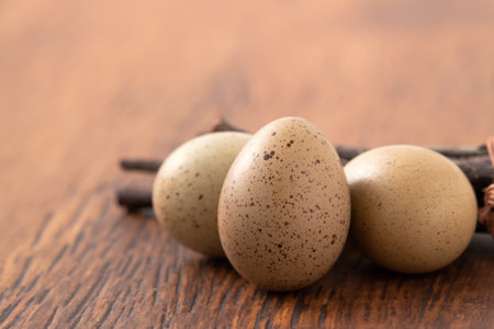 Fresh button quail eggs in a nest on wooden table background.の写真素材