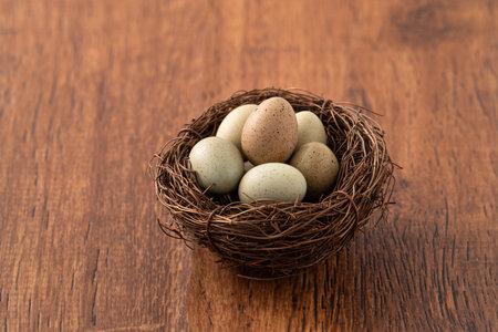 Fresh button quail eggs in a nest on wooden table background.の写真素材