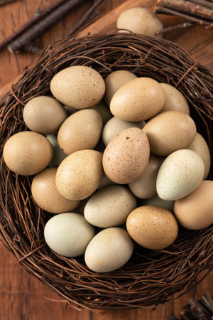 Top view of fresh button quail eggs in a nest on wooden table background.の写真素材