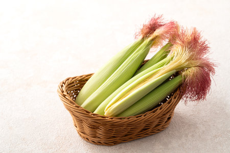 Raw, fresh baby corn in the husk with red silk in basket sieve plate on gray table background.の写真素材