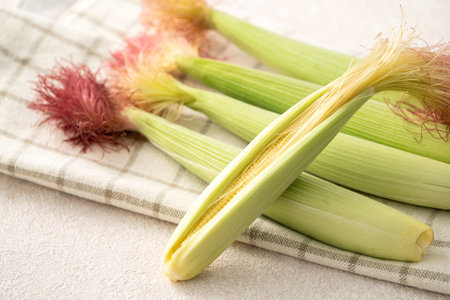 Raw, fresh baby corn in the husk with red silk in basket sieve plate on gray table background.
