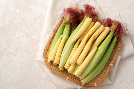 Raw, fresh baby corn in the husk with red silk in basket sieve plate on gray table background.の写真素材