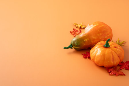 Pumpkin with maple leaf on orange table background for harvest and autumn Halloween, thanksgiving design concept.の写真素材