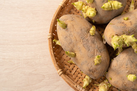 Sprouted potatoes on wooden table background, poisoning for healthy.の写真素材