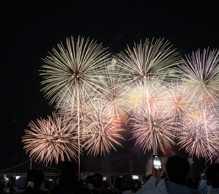 Brilliant fireworks burst above a crowd during a dazzling nighttime celebration near a bridge in busan korea.の写真素材