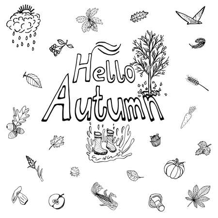 Handcrafted Season Design. Illustrations and Vector art.のイラスト素材