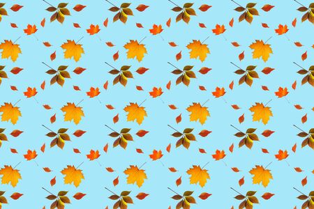Autumn leaves seamless pattern on blue backgroundの写真素材