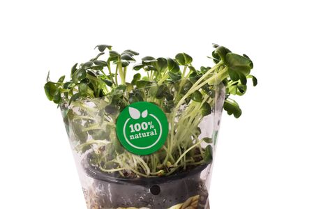 Garden radish with 100 percents organicの写真素材