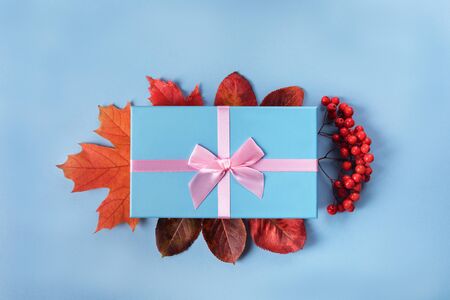 Blue gift box with atlas pink ribbon on blue background with autumn leavesの写真素材