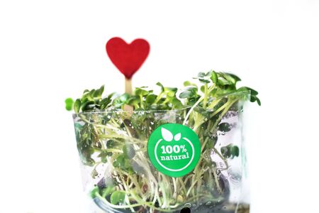 Garden small radish with red heart on wooden stick and 100 percents organic signの写真素材