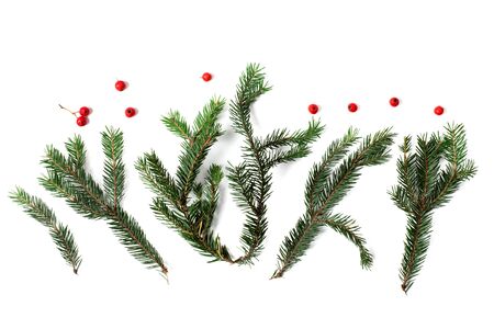 Christmas tree branches with red berries isolated on white backgroundの写真素材