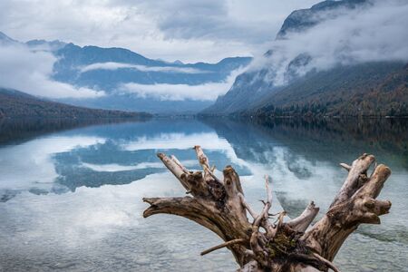 Magic picturesque cloudy sky reflection in water of Bohinj lake. Driftwood root in the front. Beautiful view of misty forest hills in autumn morning mountains landscapeの写真素材