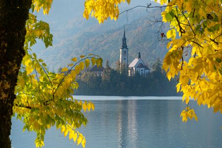Picturesque view of the island on Lake Bled with Pilgrimage Church through yellow leaves framing. Slovenia, Europe.の写真素材