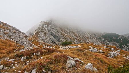 Beautiful view of yellow autumn grass and rocks in Julian Alps in foggy background. Magic scene of mountain range. Travel Vacation Nature beauty Conceptの写真素材