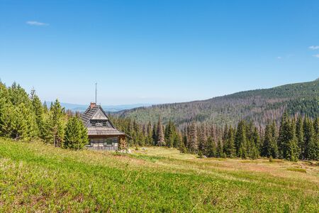 Wooden cabin on green meadow in sunny cloudless day in mountains forestの写真素材