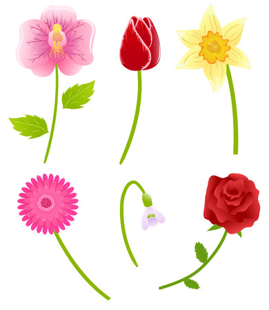Set of spring flowersのイラスト素材