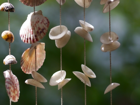 Shell in mobileの写真素材