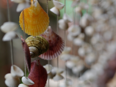 Close-up beautiful handmade shell hanger の写真素材